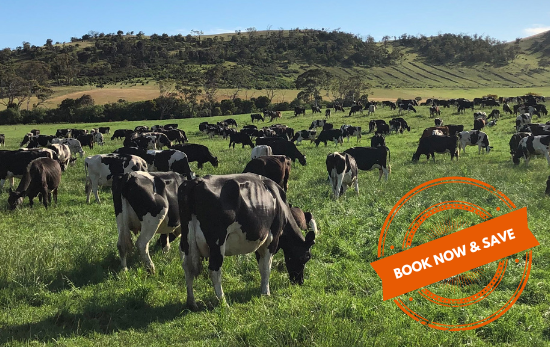 AusDairyConf's tweet photo. Find the greener pastures this February in Hobart at @AusDairyConf. Last chance to save this week. Early bird registrations close THIS FRIDAY. Save $100 on full farmer registration. Register now 👉 https://t.co/iqJdhshLuU  #adc2023 #ausdairyconf https://t.co/Bq55ttK0H2