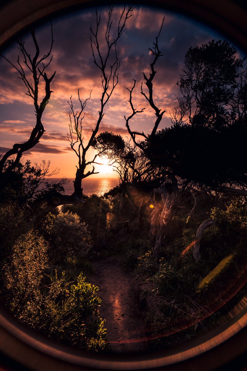 Liyat ልያት tweet media