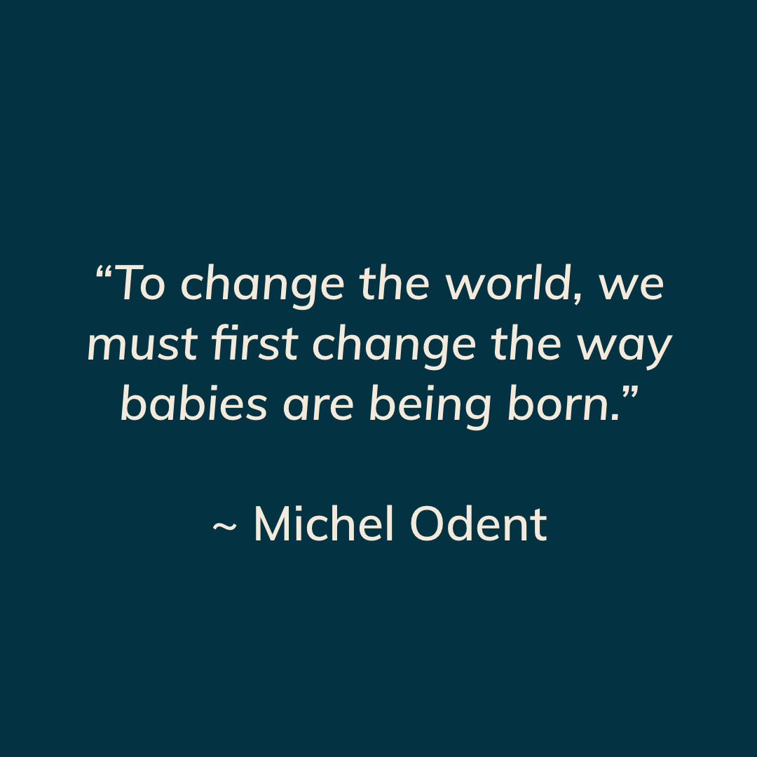 SpinningBabies's tweet photo. “To change the world, we must first change the way babies are being born.” 

~ Michel Odent
.
#spinningbabies #birthprofessionals #bodyworkprofessionals #birthingpositions #givingbirth #bellymapping #positivebirth #birthwithoutfear #birthstory #fetalpositioning #fetalposition https://t.co/lAHDxcisUB