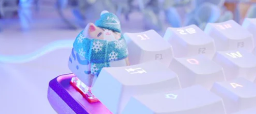 tekunoff's tweet photo. some people have cats, mine is named Coco and lived on a gaming keyboard, https://t.co/kCJkeOVwhz https://t.co/DdItMidrEg