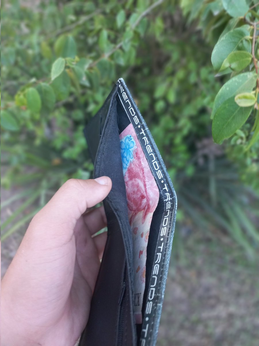 Como empezó/ Como va