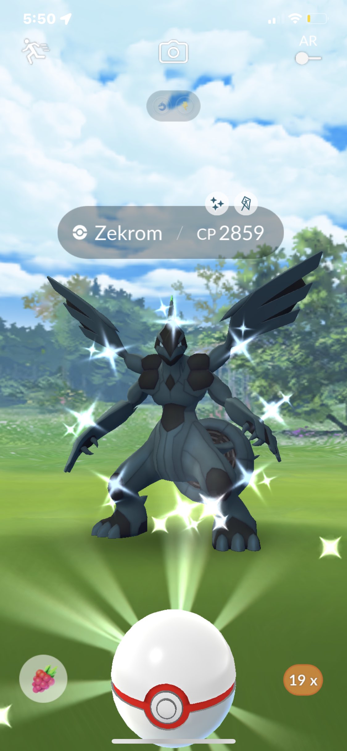Lifting&Zombies on X: Retweet this for Shiny Zekrom Luck! ✨ #PokemonGO   / X