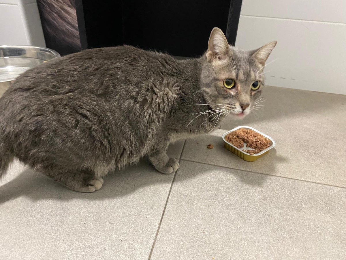 María del Rocío Góme tweet media