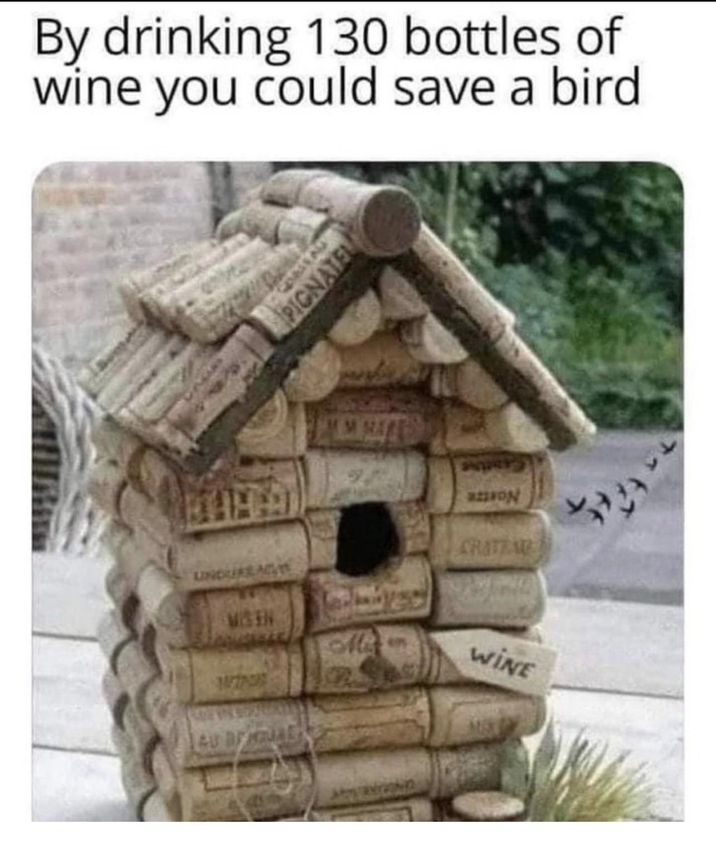 Friscokid49's tweet photo. Doing my part for the world...

No I don't consider myself a hero... maybe others do, but that's just kinda ridiculous! 😜
#naturelover #naturesfriend 
#wineproject https://t.co/EaF4uOUuRX