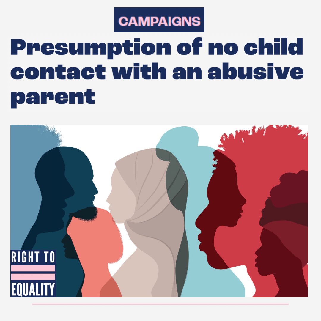 We are committed to ending the presumption of child contact with an abusive parent. Contact with an abuser is harmful for children and parent survivors. It causes significant and irreparable harm. The law needs to change. Here’s why. Thanks to <a href="/BarnettAdrienne/">Dr Adrienne Barnett</a>, our advisor.