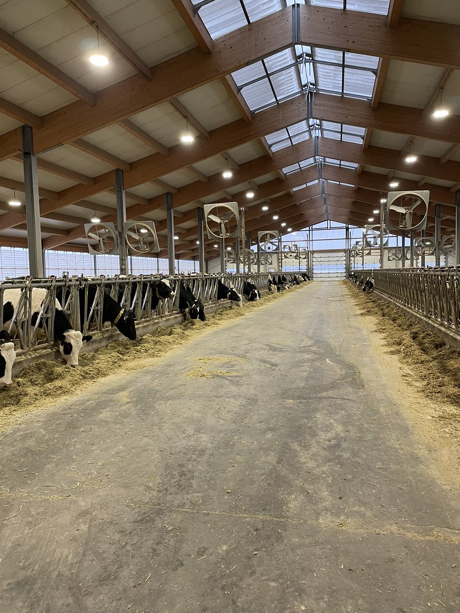 meghan_glavin's tweet photo. Day 1 of dairy tour 2023 is coming to a wrap! Thank you @newbrabantfarms and Blondin Sires for welcoming us to their farms and making day 1 so great! 

Looking forward to the coming days! @UofGDairy #aggiesgoeast #ontag https://t.co/4N7uGlRqH1