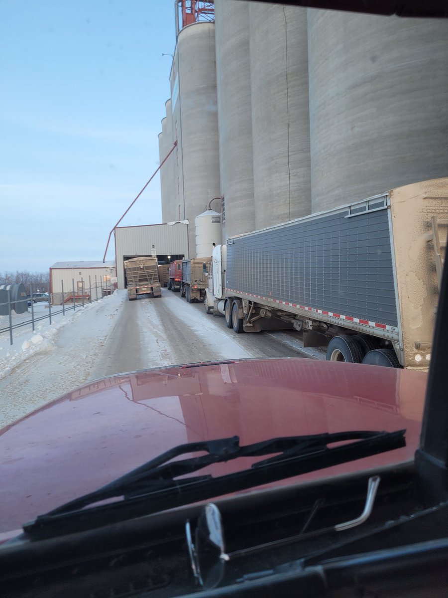 It's a nice January day to be hauling grain. Looks like everyone else decided to do the same thing.