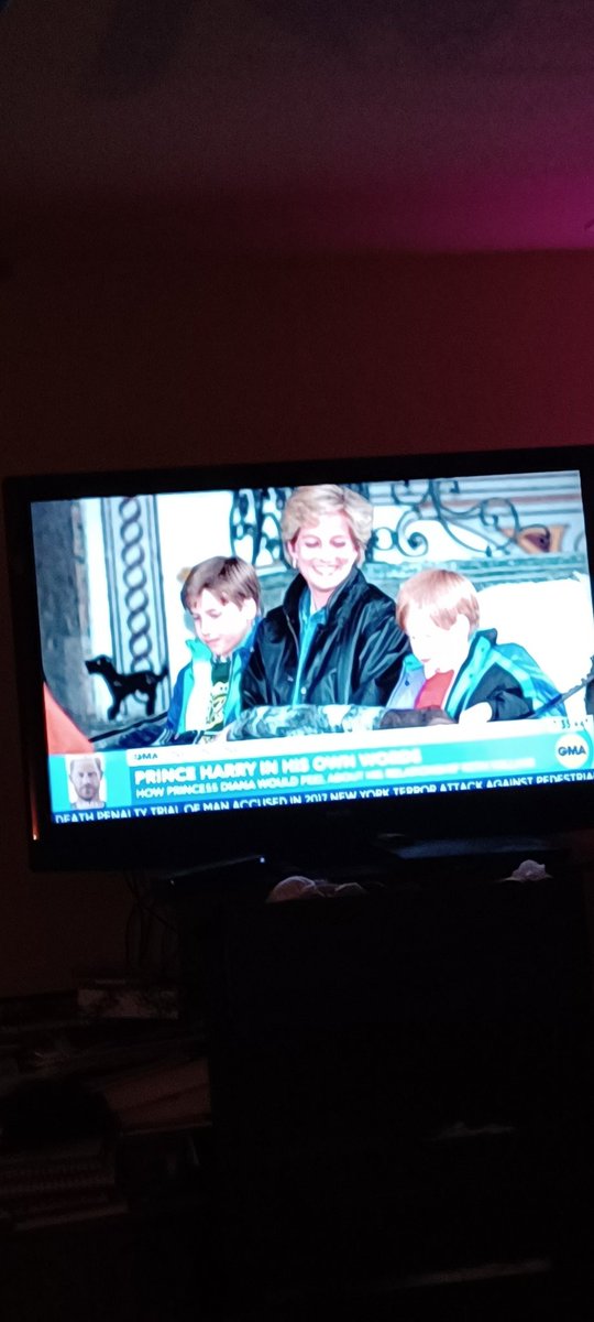 DJHTEXAS's tweet photo. It upsets me that after the boys mother died that the Monarchy establishment who are supposed to be looked up to failed these boys in the years of their growth. Will had protection & Harry had to take the fight or flight path studied in psychology. It is the UK who failed him. https://t.co/N6niC9OD28