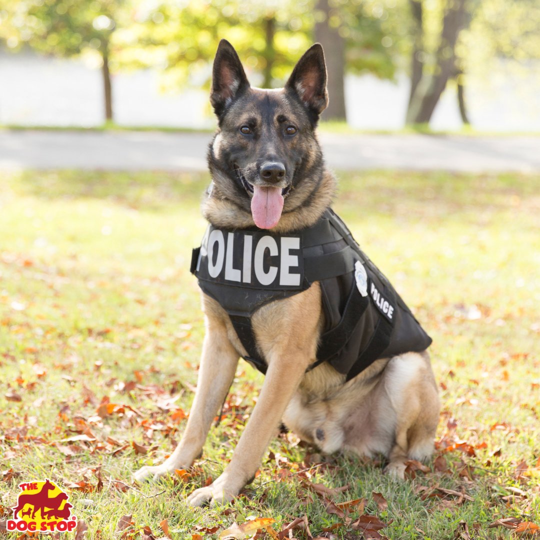 It’s National Law Enforcement Appreciation Day🚔! We'd like to extend our gratitude to all the men, women, and especially canines who walk that thin blue line. Thank you for your service! #thankyou #lawenforcementappreciation #k9unit