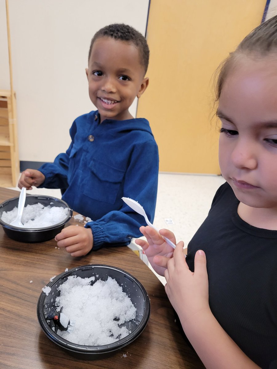 Daisy Molina tweet media