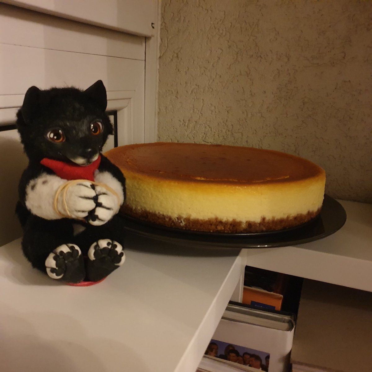 balto_star's tweet photo. #Kraficat #Balto #plushie #poseable https://t.co/EfpdQ4qXk2