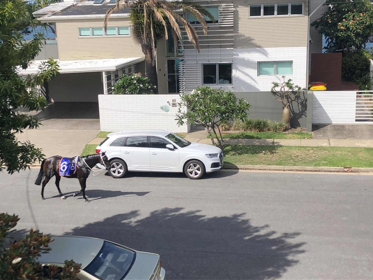PSyvret's tweet photo. Not quite the normal traffic in our ‘hood #MagicMillions https://t.co/Im6ThcRALm