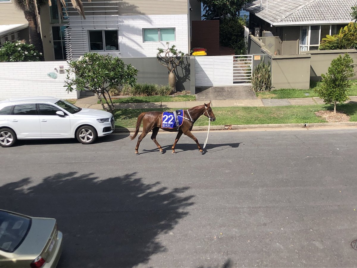 PSyvret's tweet photo. Not quite the normal traffic in our ‘hood #MagicMillions https://t.co/Im6ThcRALm