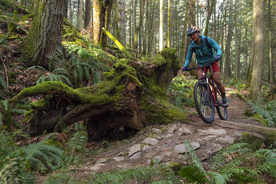 Diamondbackbike's tweet image. Do you rock a hardtail? If you're looking for a smooth ride for less dough, all of our hardtail MTB's are on sale. See why these bikes are so many riders' first DB's.

#MTB #hardtail #myfirstmtb #bikesale #mtbsale #wintersale #newyear #newbike #trail
