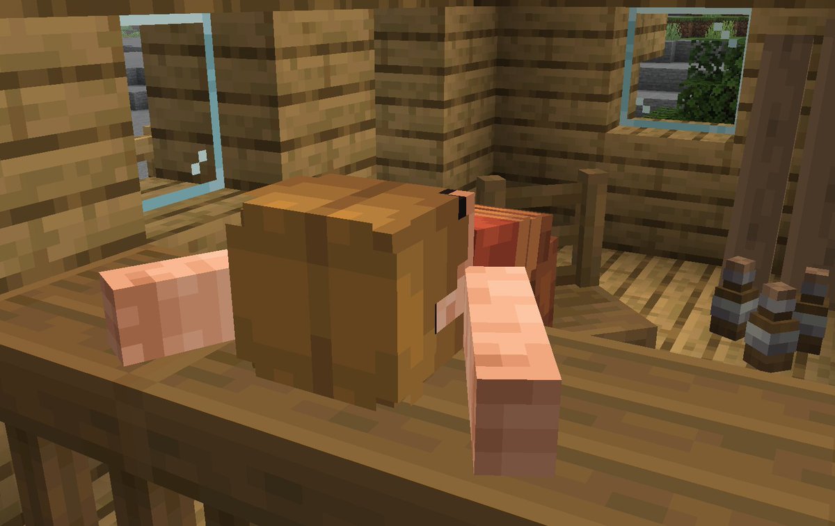 hatsondogs tweet media