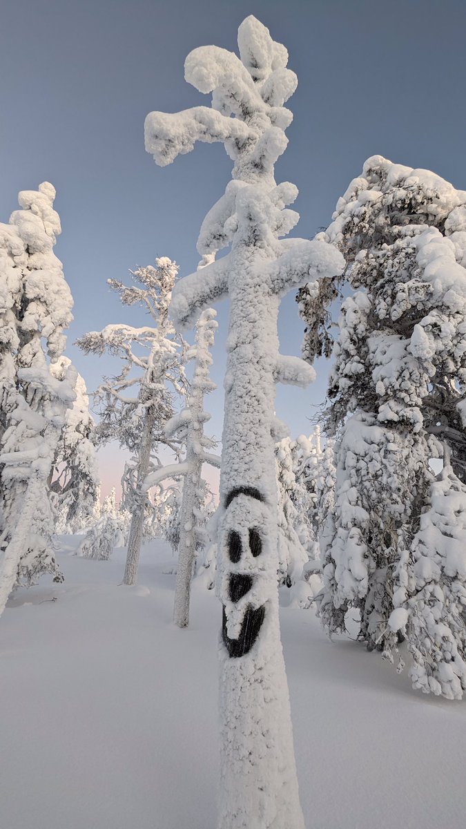 Jennie1Rennie's tweet photo. It’s all smiles in Ylläs even if it is -25. 
Only a couple more weeks and the sun will be above the horizon again. 
That’s worth smiling about 😊

#ylläs #lapland #finnishlapland https://t.co/y1nbFuYuUw