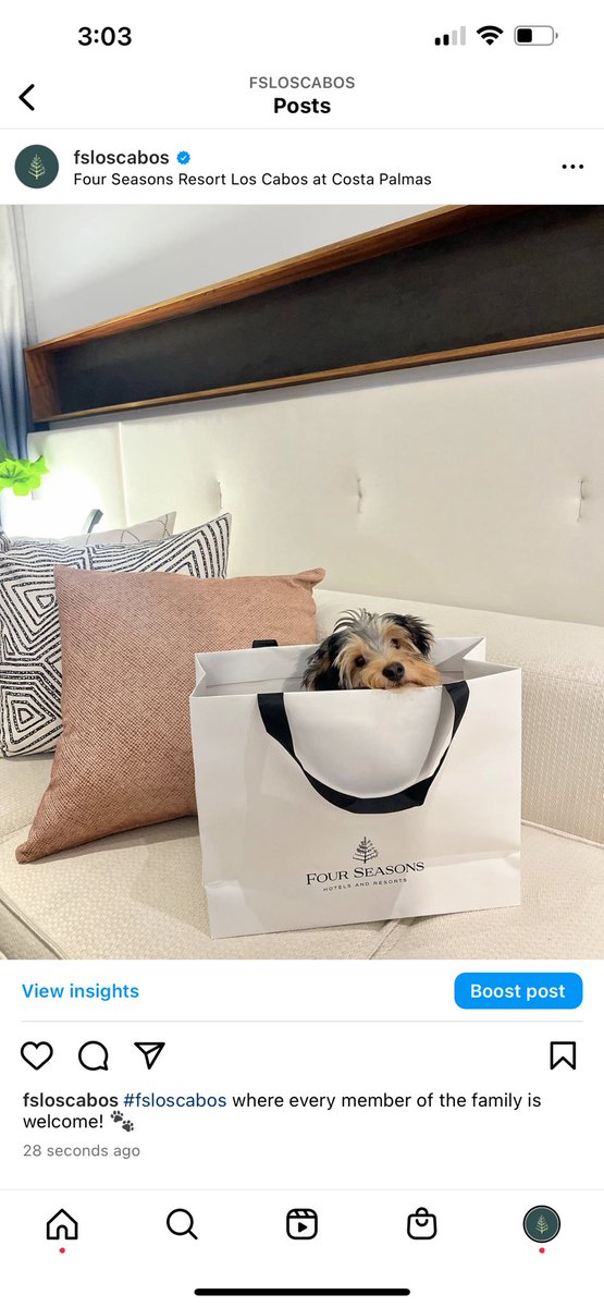 #fsloscabos where every member of the family is welcome! 🐾