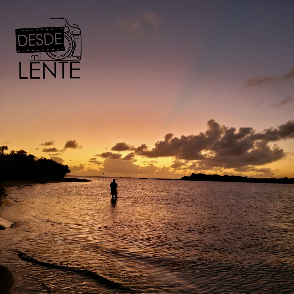 Desde_mi_lente's tweet photo. Uno de nuestros pescadores terminando su pesca con un hermoso fin de dia como escenario.

No olvides pasar por youtube
👉https://t.co/L0WjpbjDG5

Disfruta tu isla!
#Desdemilente #puertorico #atardecer #pescador #playa #turismo #turista  #isladelencanto #sunsets #beach #tourism https://t.co/Plm9SiDBoI