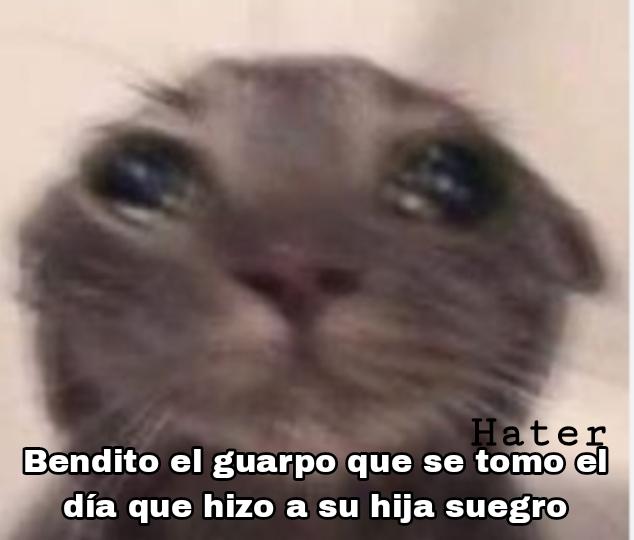 Multifake5's tweet photo. Nadien
*Yo hablando por primera vez con mi suegro. https://t.co/sQqgVX9CXI