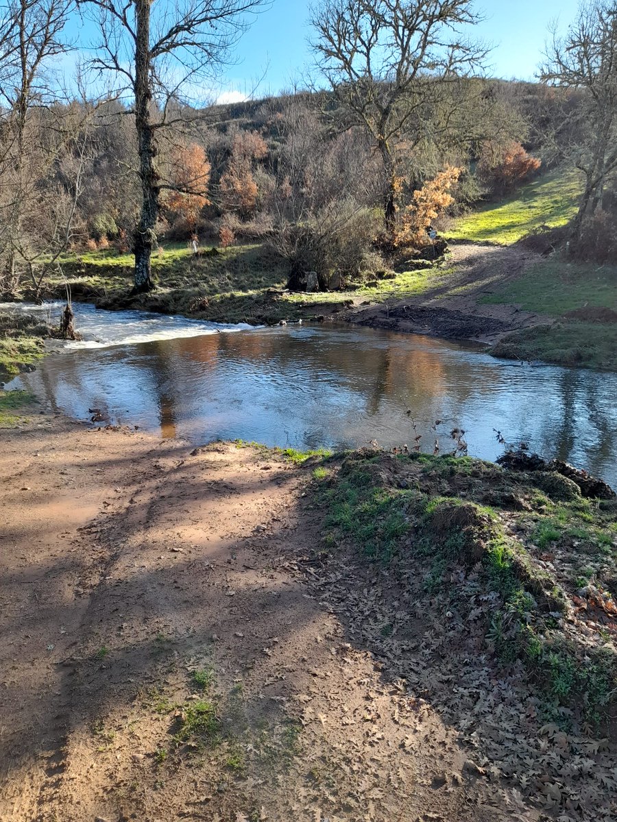 ZamoraViva1's tweet photo. Hace meses denunciábamos el arranque de robles en #Mahide por parte del Ayto para ensanchar un camino tradicional, que como se ve ni siquiera cumple su función original de "carril bici" ya que no se tuvo en cuenta que atravesaba el río Aliste y NO hay autorización para un puente https://t.co/CHoo1hXqHq