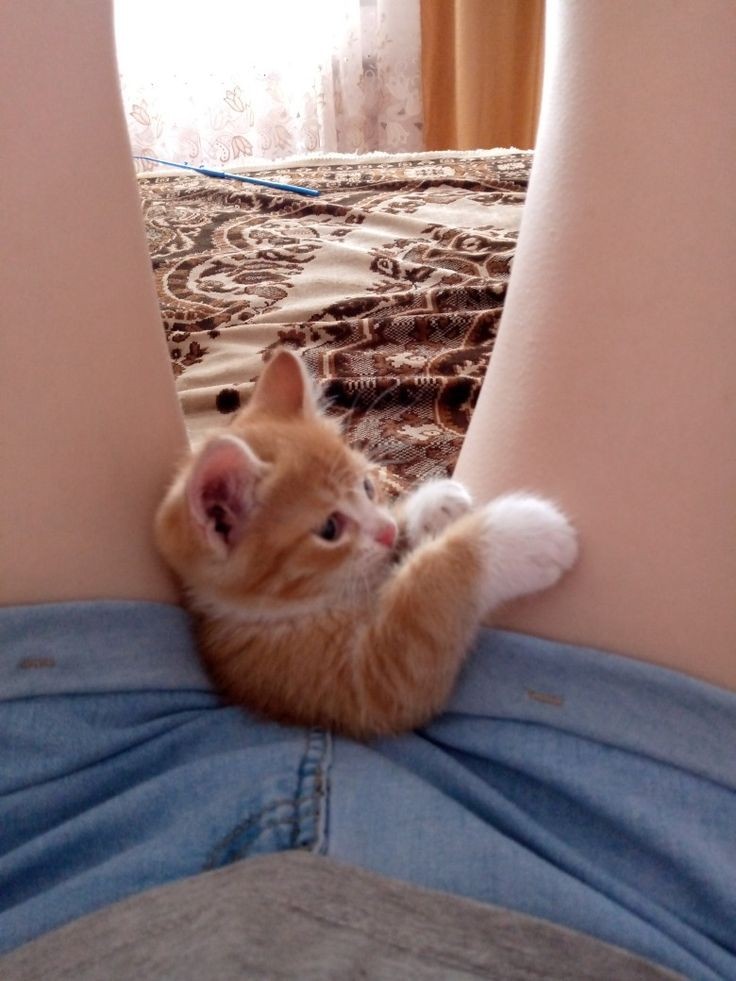 solsettias's tweet image. Buenas tardes, pump y yo esperamos que hayan tenido un lindo día&amp;lt;3