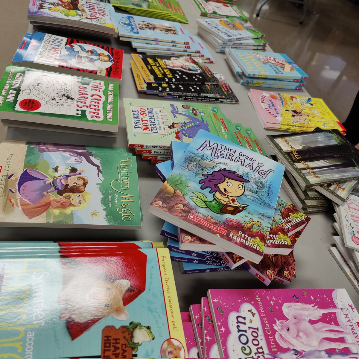 Lake Pointe Elementary Library tweet media