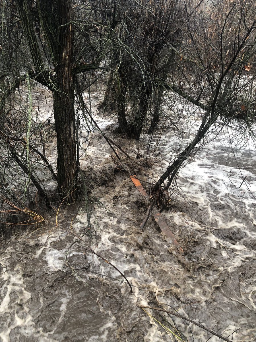 3RiversGal's tweet photo. Current conditions in Three Rivers Ca - there is a constant thunder sound as the boulders continue to collide under the raging water. this is just a creek… can’t get out to see the main river. https://t.co/1prK4hQTvk