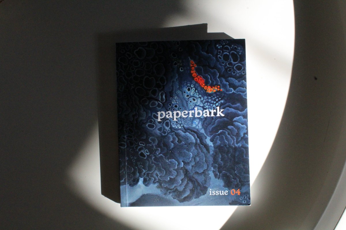 Paperbark tweet media