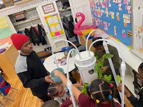 FNS314's tweet photo. Class 203 grew different types of lettuce in the hydroponic garden! Students harvested the lettuce and had a salad party to celebrate! 🥗 @D12SupRosado @BBOUFT @FNS314 @DOEChancellor https://t.co/C5W1LPsKCm