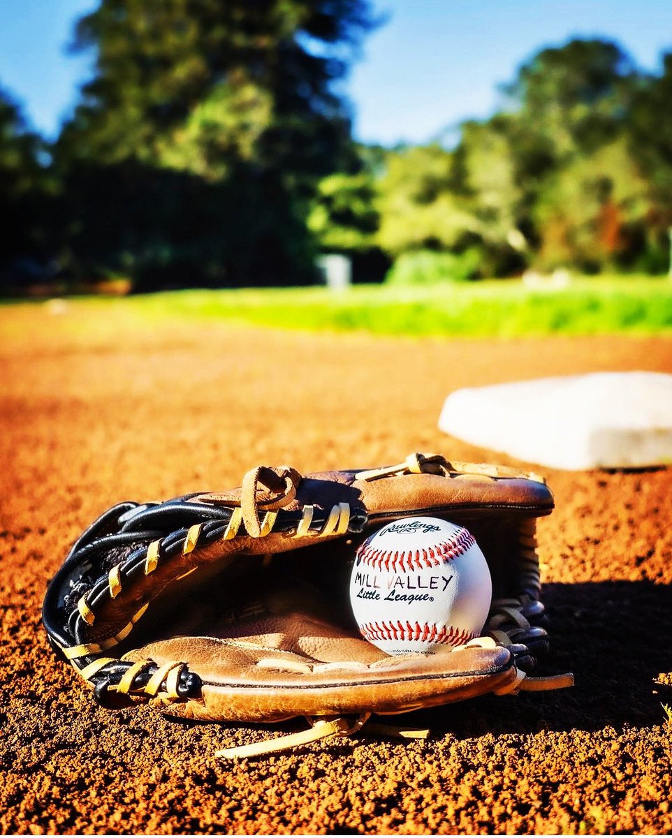 MillValleyLL tweet media