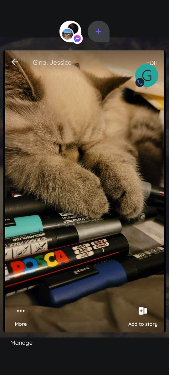 MoniCore_33's tweet photo. @finesser_na My new kitten sushi waiting up for me to get done doing art things. He couldn't keep his peepers open. 😻 https://t.co/pfdZiYplzJ
