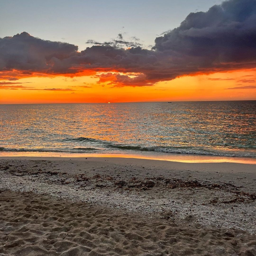 Marianabaenove's tweet photo. Los atardeceres en Celestún son perfectos ✨😍 https://t.co/WbZ7GDMZp9