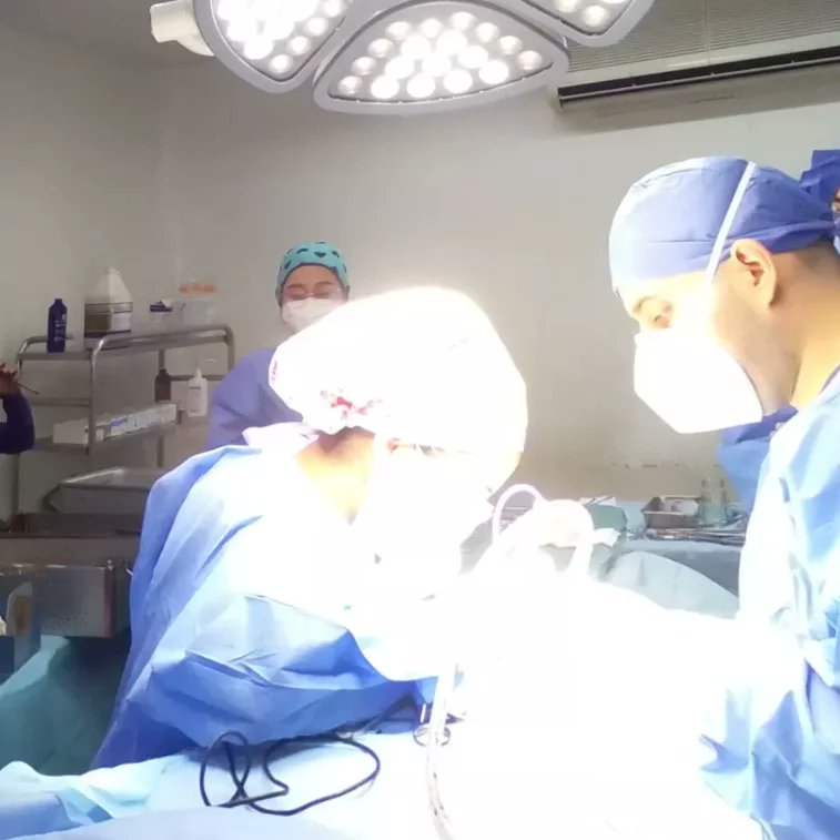 En el Hospital Central se realizaron 5 mil 714 cirugías durante el año 2022, cumpliendo con las políticas del Gobierno Nacional. @nicolasmaduro @magalygutierrezv
@mppsalud_vzla @freddybernalven
@gobernaciondeltachira
@corposalud_tachira #juntosporcadalatido
#1x10delbuengobierno