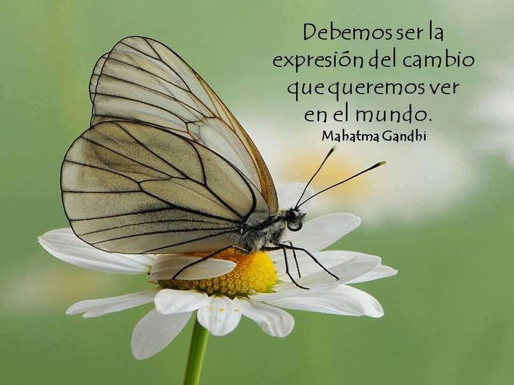 Seamos el cambio que queremos en el mundo 😉