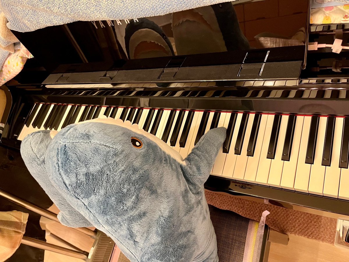 migapatch's tweet photo. ピアノを一緒に弾くのでパッチ🎶🎹
教えてほしいサメん🦈
#IKEA #IKEAのサメ
#IKEAshark #blahaj #ブローハイ https://t.co/oumqzneO0s