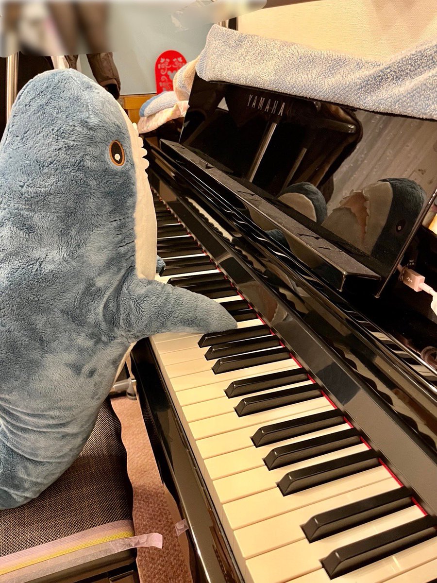 migapatch's tweet photo. ピアノを一緒に弾くのでパッチ🎶🎹
教えてほしいサメん🦈
#IKEA #IKEAのサメ
#IKEAshark #blahaj #ブローハイ https://t.co/oumqzneO0s