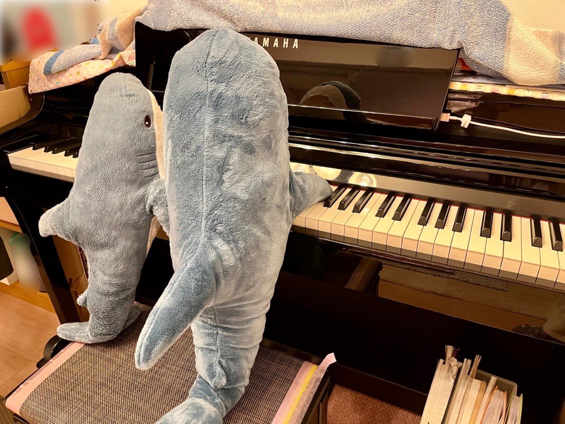 migapatch's tweet photo. ピアノを一緒に弾くのでパッチ🎶🎹
教えてほしいサメん🦈
#IKEA #IKEAのサメ
#IKEAshark #blahaj #ブローハイ https://t.co/oumqzneO0s
