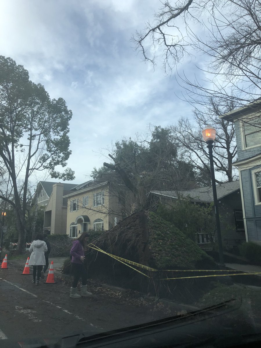 NCFB109's tweet photo. On I Street in Midtown Sacramento. One of the many downed trees in the city. https://t.co/48buGHRrBY