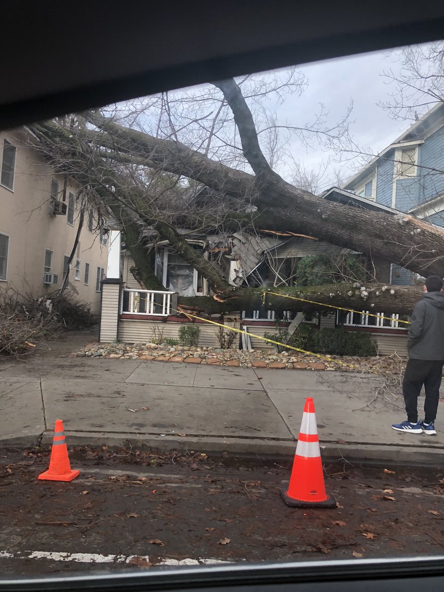 On I Street in Midtown Sacramento. One of the many downed trees in the city.