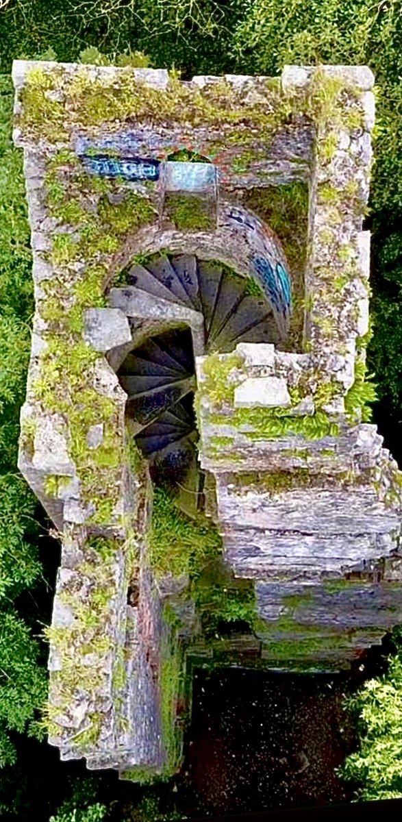 FearStairLmk's tweet photo. The internal limestone spiral stairs of Plassey Mill (1824). #Limerick https://t.co/J12itN8DRo