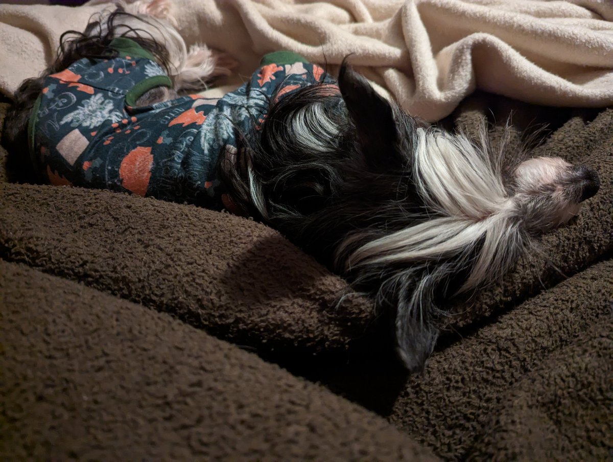 We bought Allan new pajamas (it's super cold here!) and he loves them 🥰