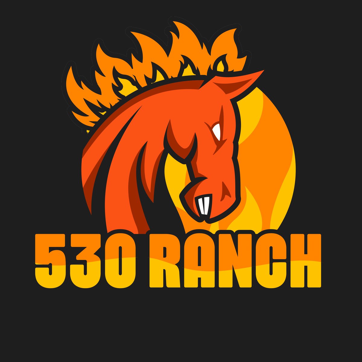 530Ranch's tweet photo. @HillsideHomie @zed_run Thanks again @prospect_hodl for this 🔥 logo! https://t.co/my0aiv2Ojq