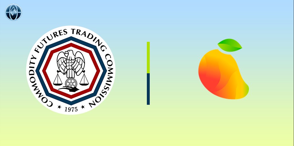 NETWRK NEWS tweet media