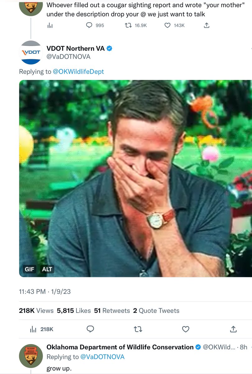 Panda Bernstein on Twitter: "Despite the muskrat’s best efforts, there