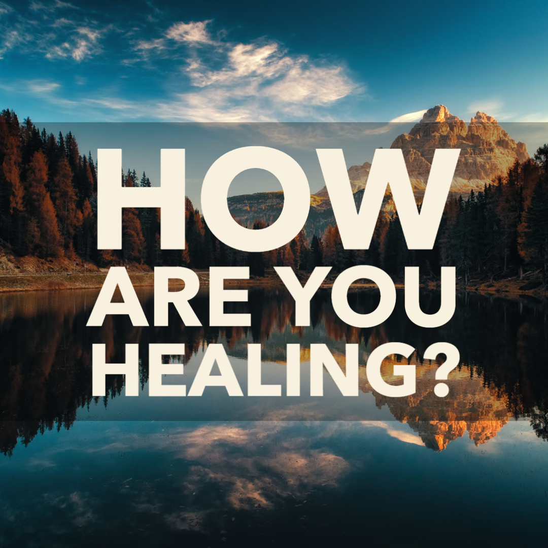 To recognize the National Day of Racial Healing on 1/17, we want to know how you're healing. How does your educational path help your healing journey? What are some ways you help you and your community heal? Comment below, tag us or use #howtoheal to share! #indigenouseveryday