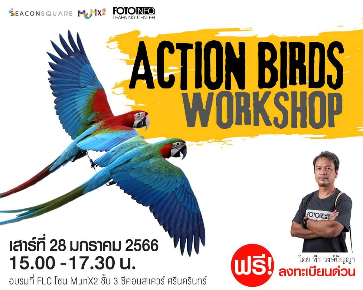 Action Birds Photography ถ่ายภาพนกบนดาดฟ้า ซีคอนสแควร์ ฟรี! ไม่จำกัดค่าย ลงทะเบียนด่วน  facebook.com/15425892795494…