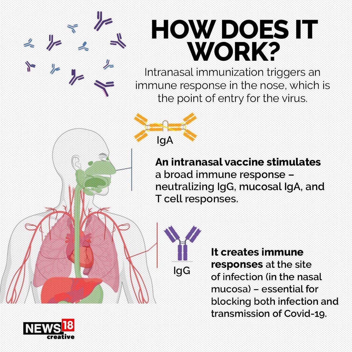 BRexNew's tweet photo. The reason is they’ve pushed a gene therapeutics drug classing it as a vaccine! When will @WHO @US_FDA @GHS release #Covaxin to the world and allow its use! #HealthCorruption @MartyMakary @AndersonAfDMdEP @CristianTerhes @DrAseemMalhotra @drsimonegold @DrJBhattacharya @levy_o https://t.co/AuqNPctEyy
