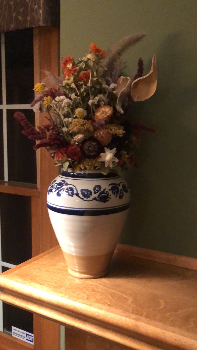 Peter_Klein742's tweet photo. The plants in this photo are typically grown in temperate forest biomes. This means we did not have to go far to buy them since Wisconsin is a temperate forest biome. @franklinlorax #apeseco https://t.co/qsx5felNXt