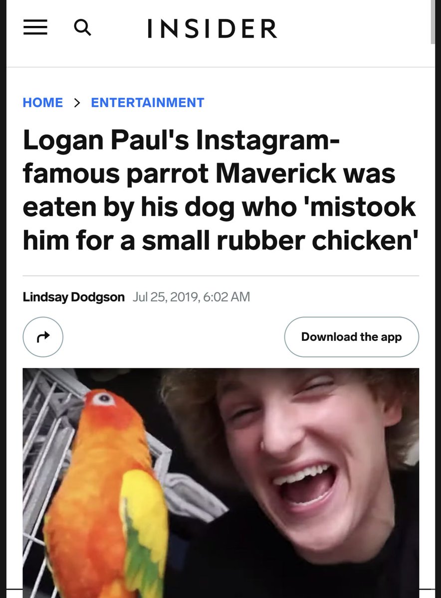YungFika's tweet photo. @h3h3productions His dog also ate his bird... https://t.co/9gsb2ggMPy