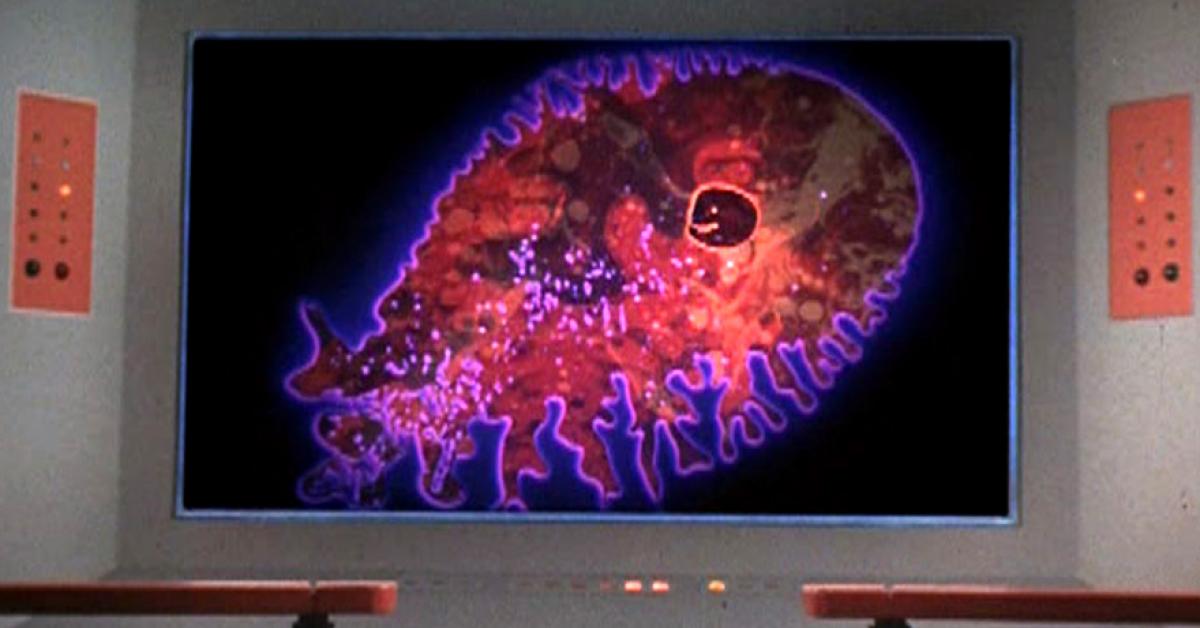 Spock: the organian are as far above is as we above the ameoba.
Ameoba: hold my beer
#allstartrek